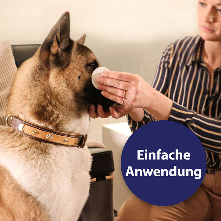 Canosept Augenpflege-Pads für Hunde